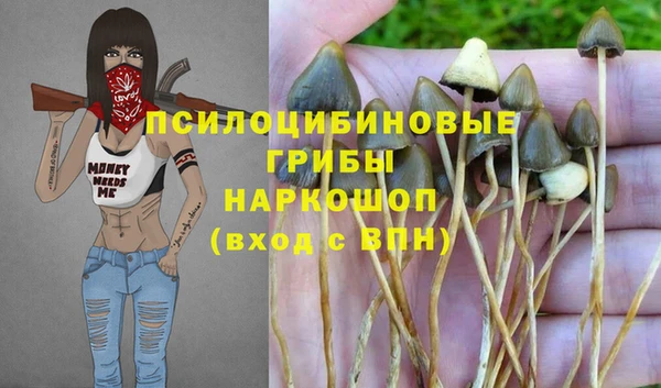 молекула духа Абдулино