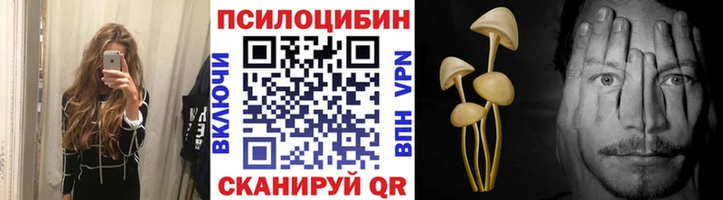 Галлюциногенные грибы Psilocybe  как найти наркотики  Егорьевск 